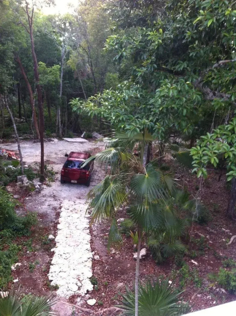 Mi Casa en la Jungla - Adults Only