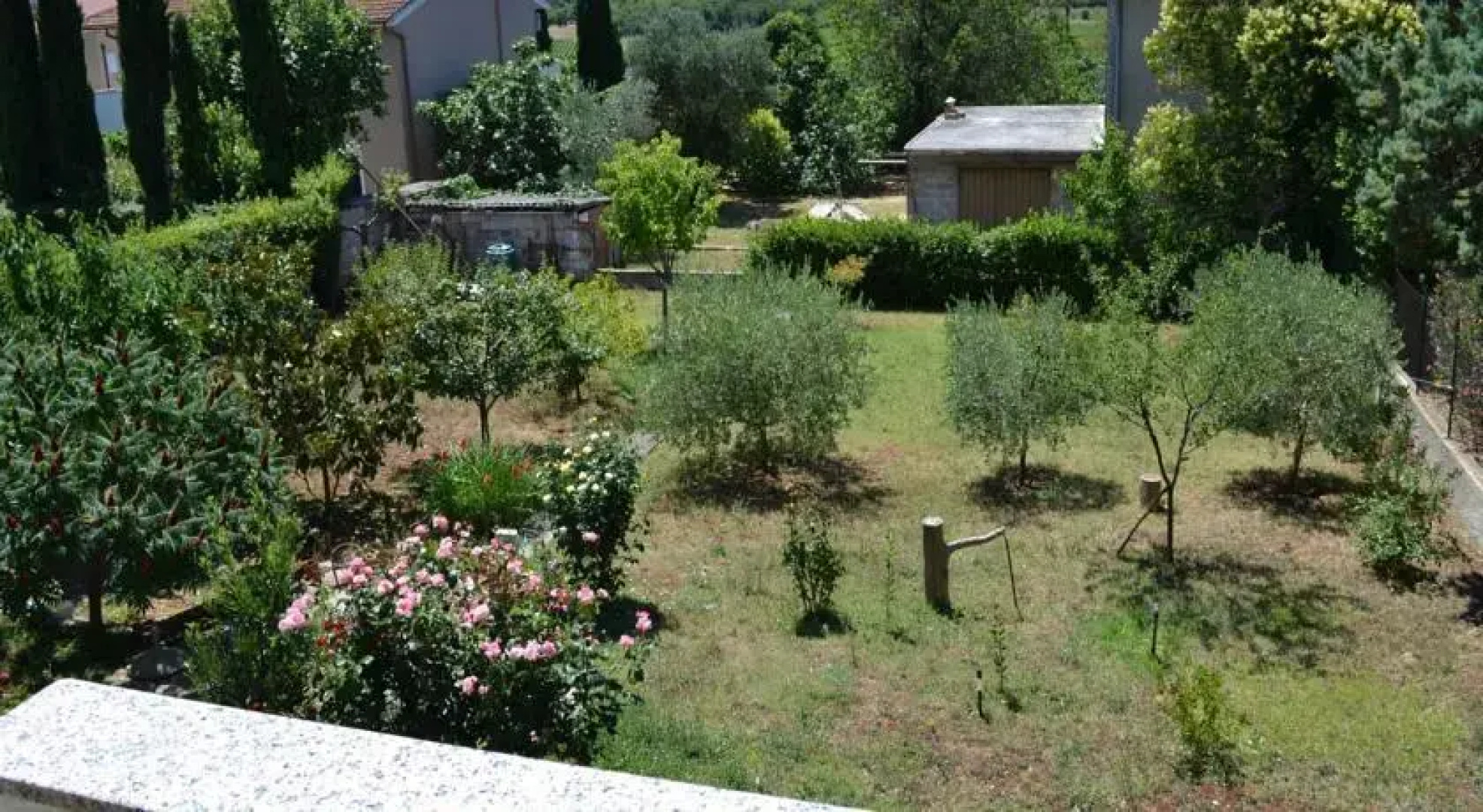 Apartment Gržinić 298