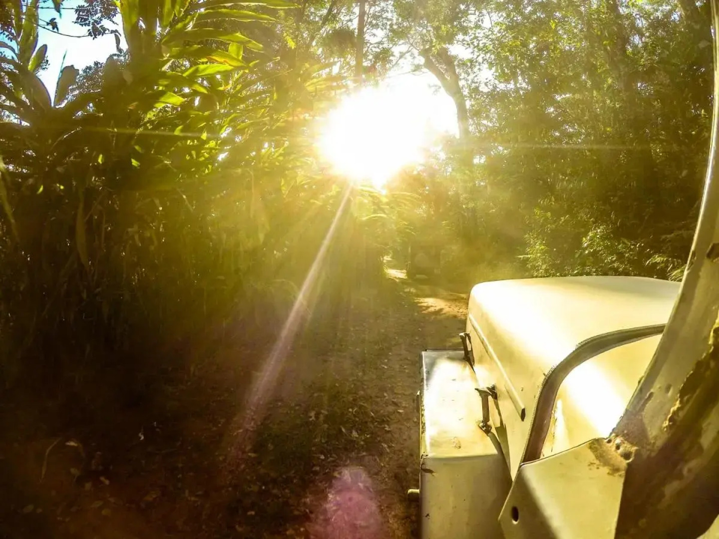 Shola Crown Resort - Munnar