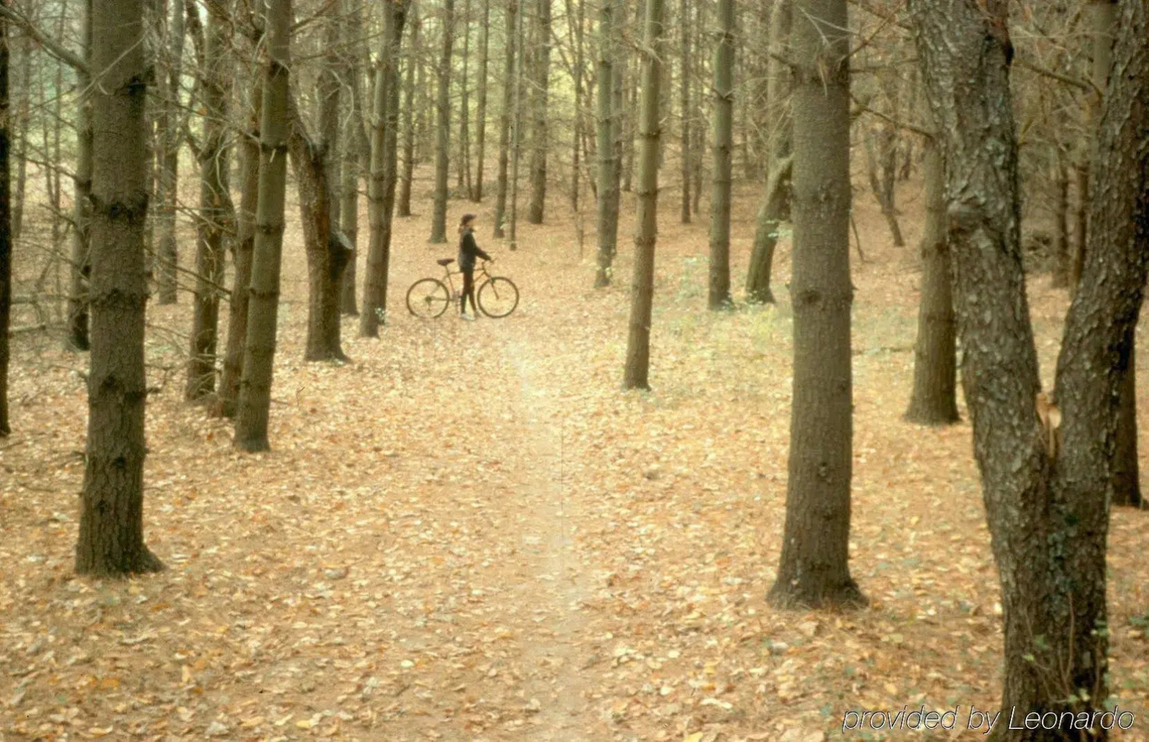 Holiday Inn Express Hotel & Suites Rockford-Loves Park by IHG