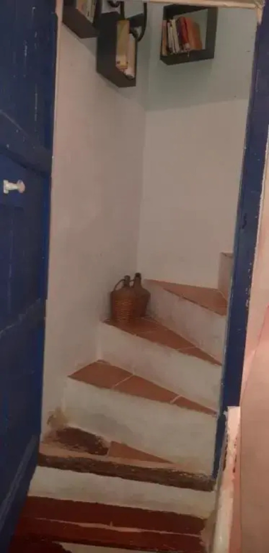 Stadthaus Florensac Dachterrasse max. 7 Personen