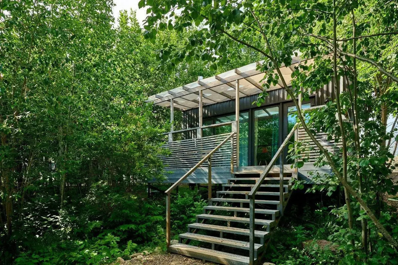 Мишка на прудах 2