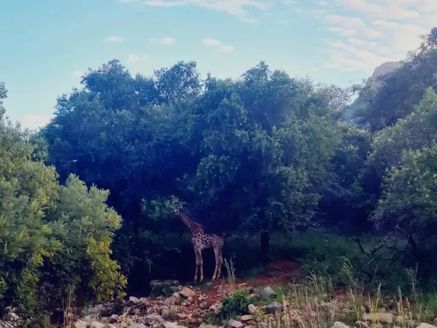66 Sharalumbi Wildlife Estate