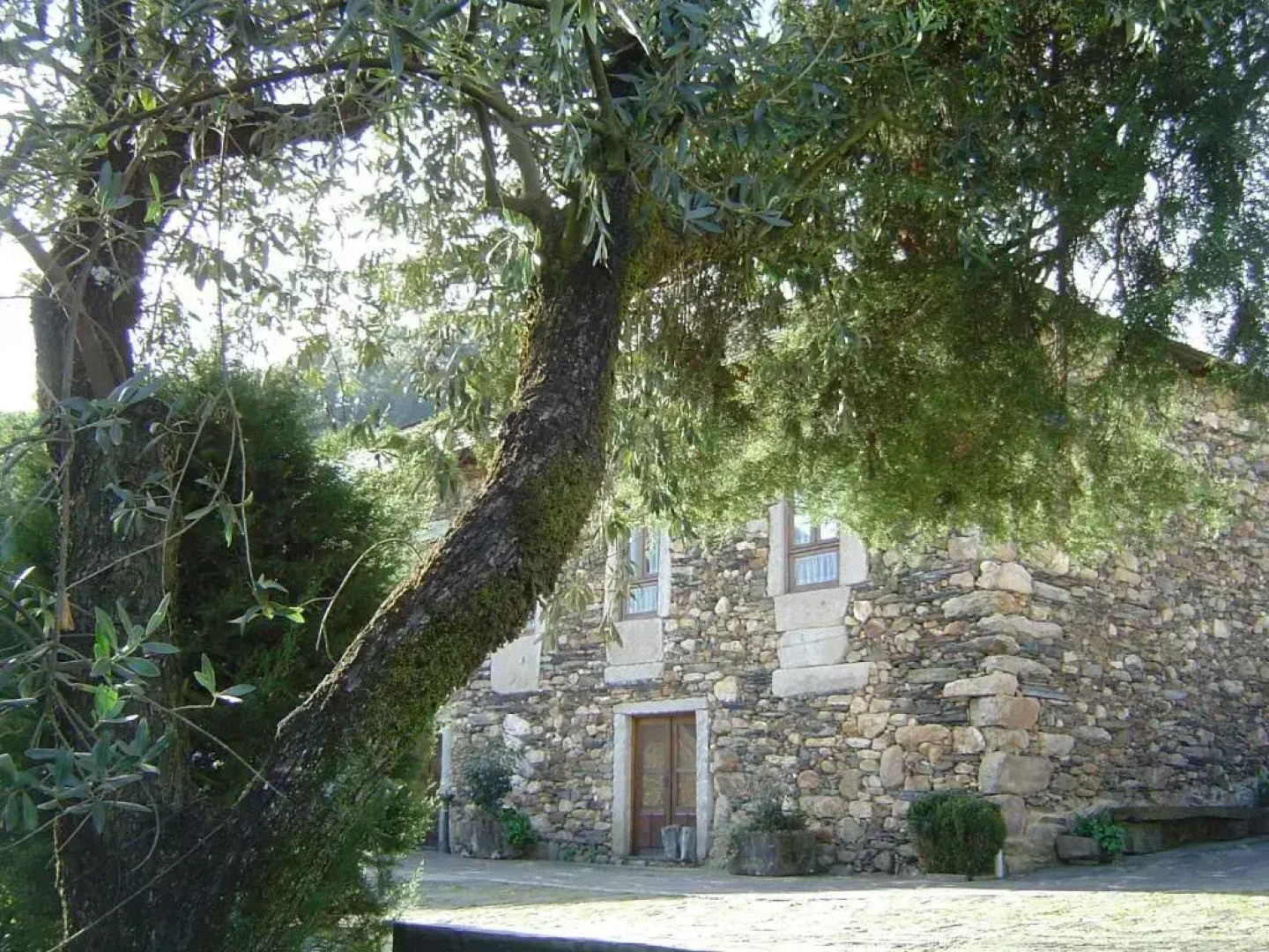 Casa Do Pinto