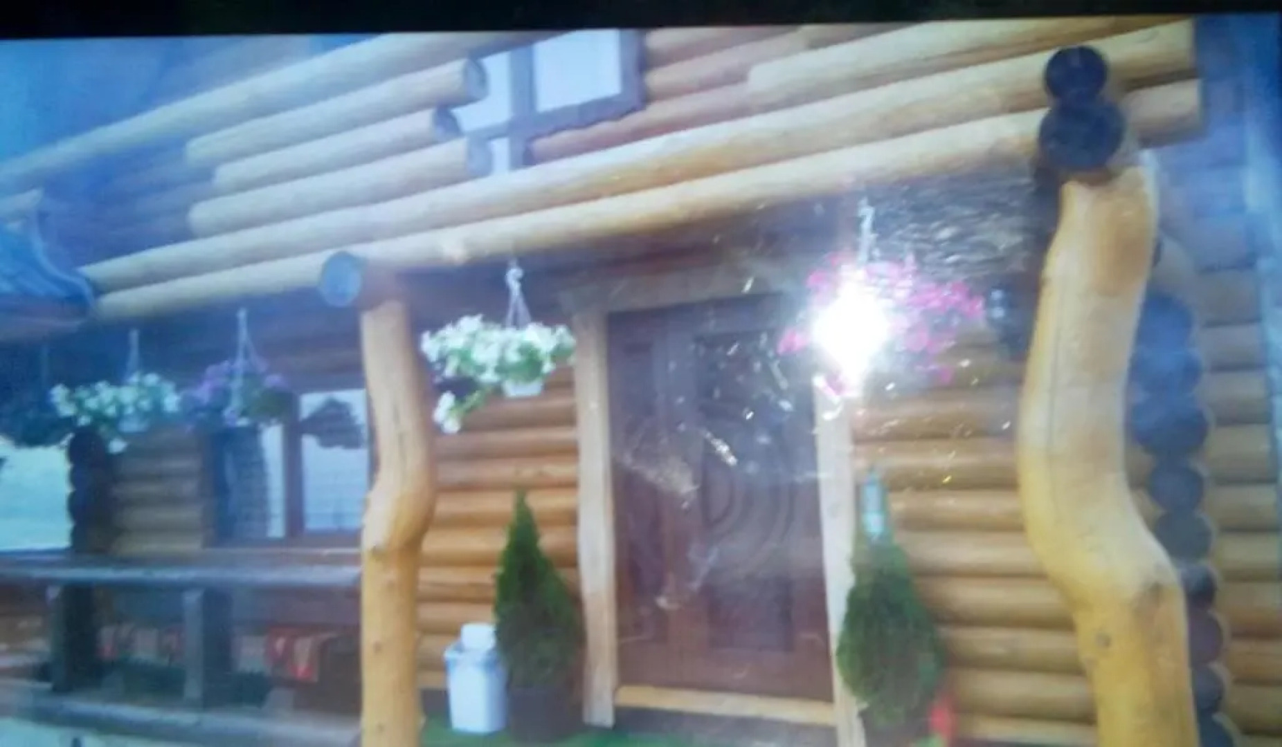 Guest House Dikiy Zrub