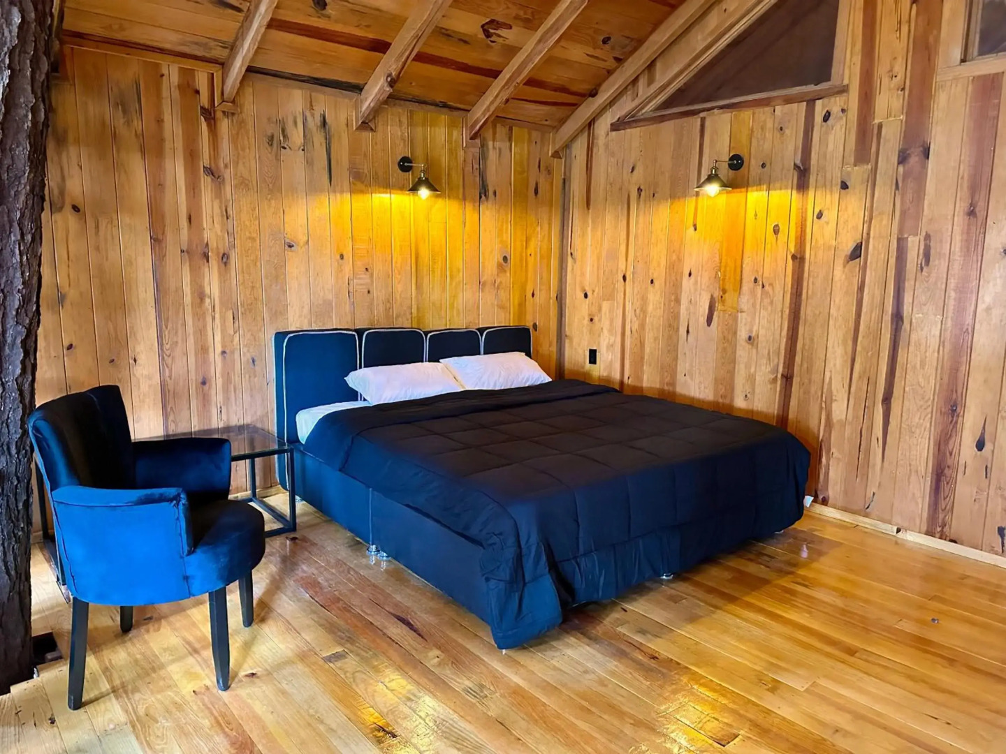 PINE TREE Hotel Boutique & Cabañas