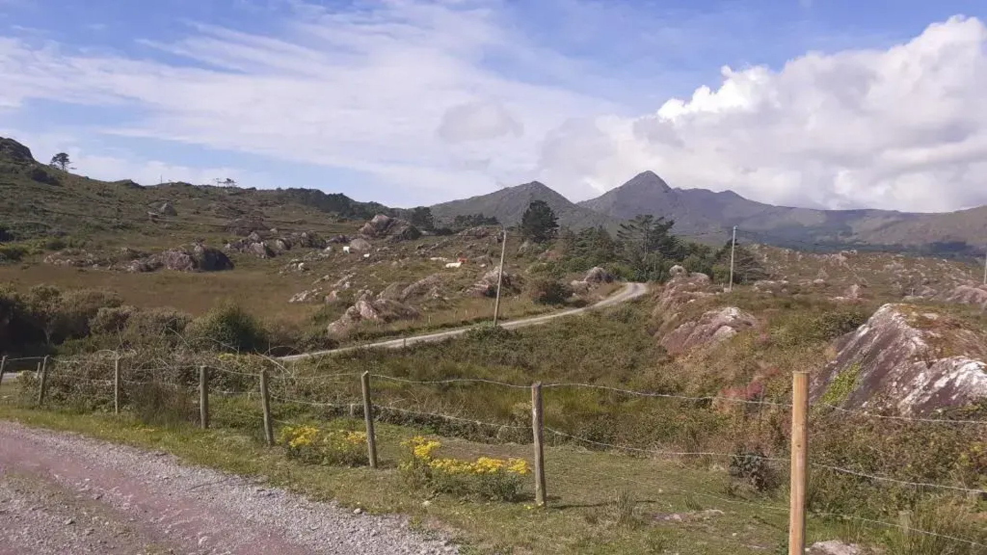 Cuckoo Tree House, Glengarriff, Beara Peninsula