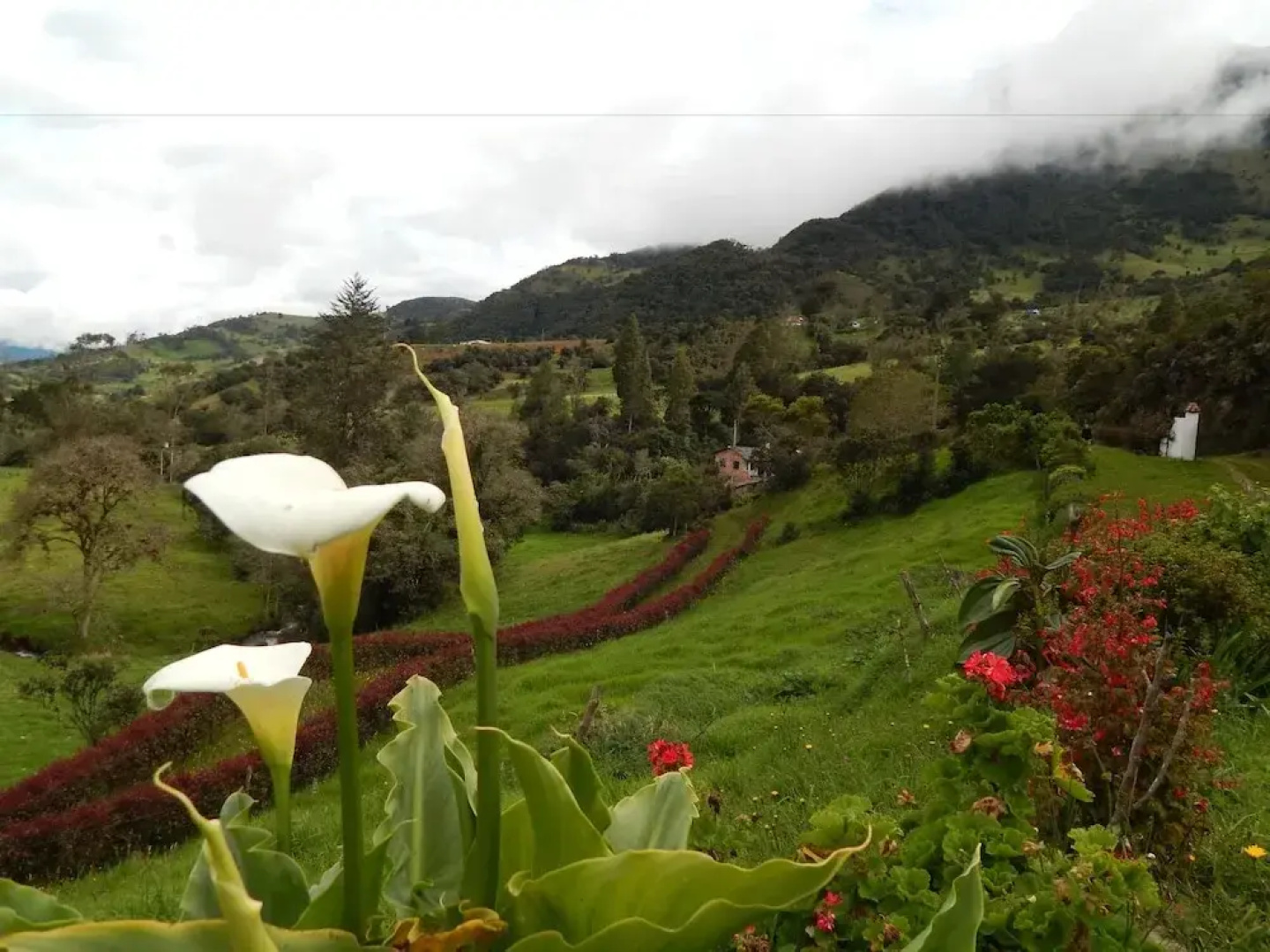 Villa del Moján