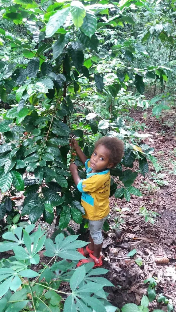 Tanna Eco Venture Bungalow