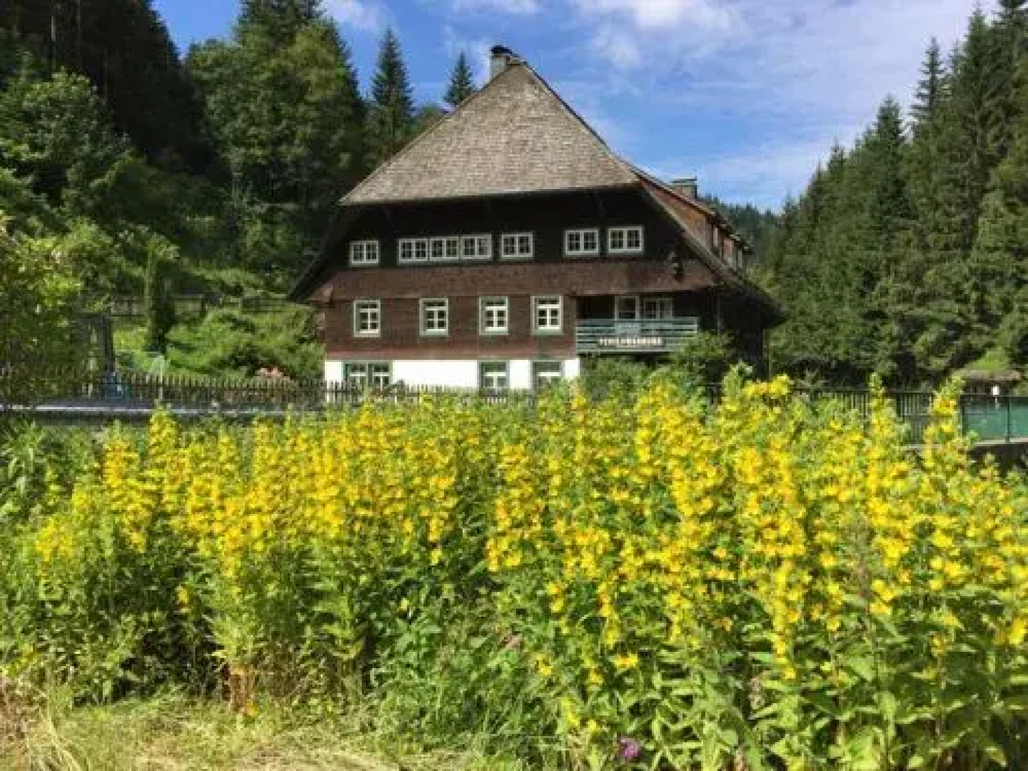 Historische Sagemuhle
