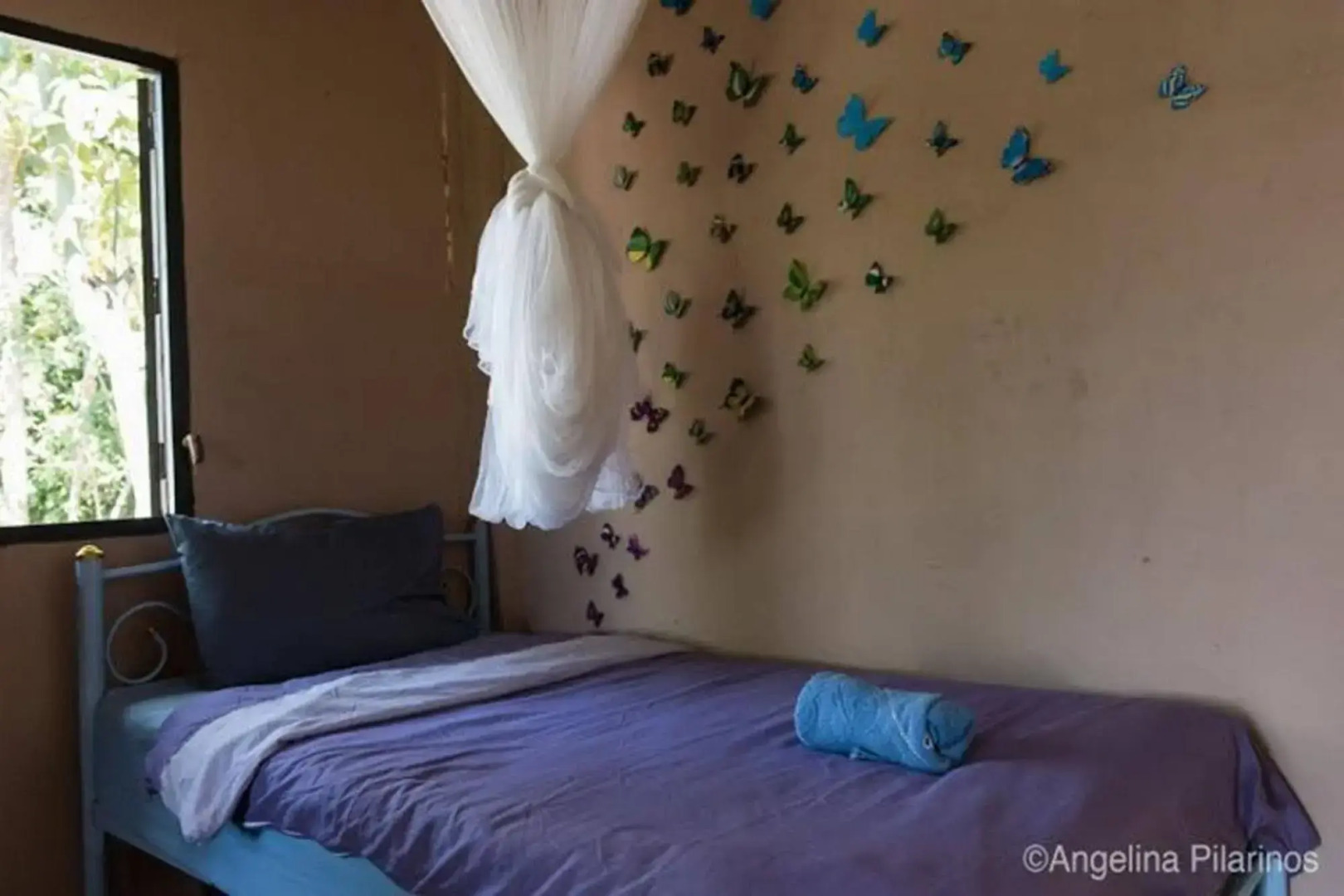 Purple Monkey Backpackers