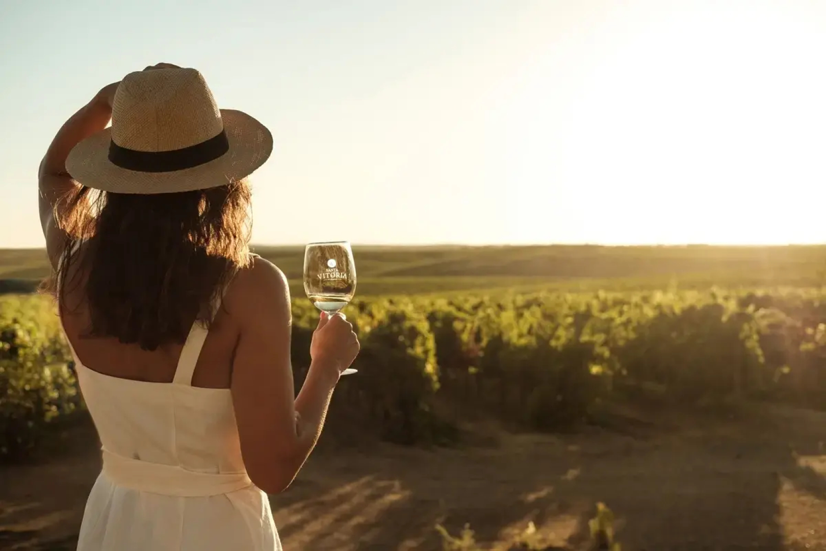Vila Gale Alentejo Vineyards Hotel - Clube de Campo