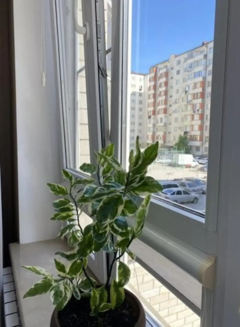 Апартаменты на улице Хизроева