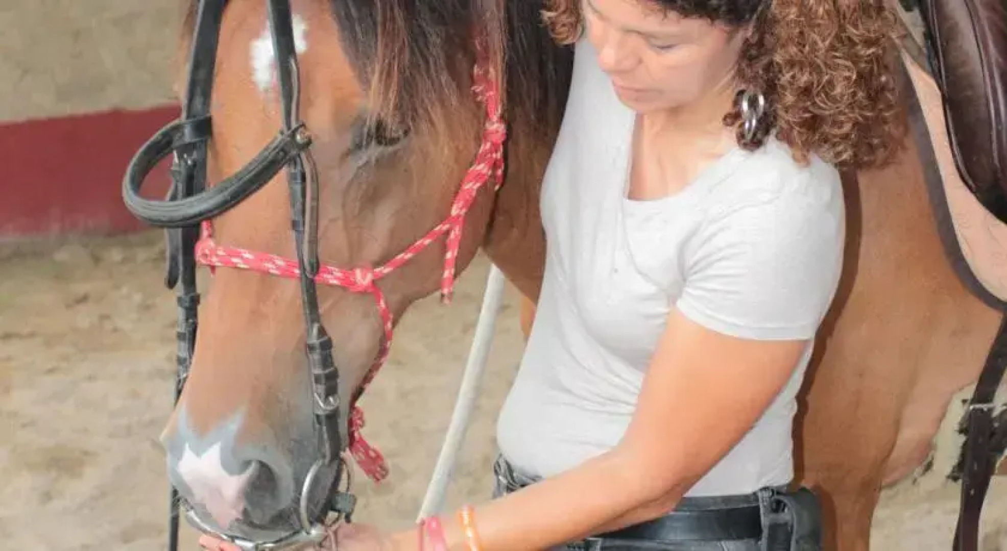 Cavallo Di Fiori - Agriscuderia