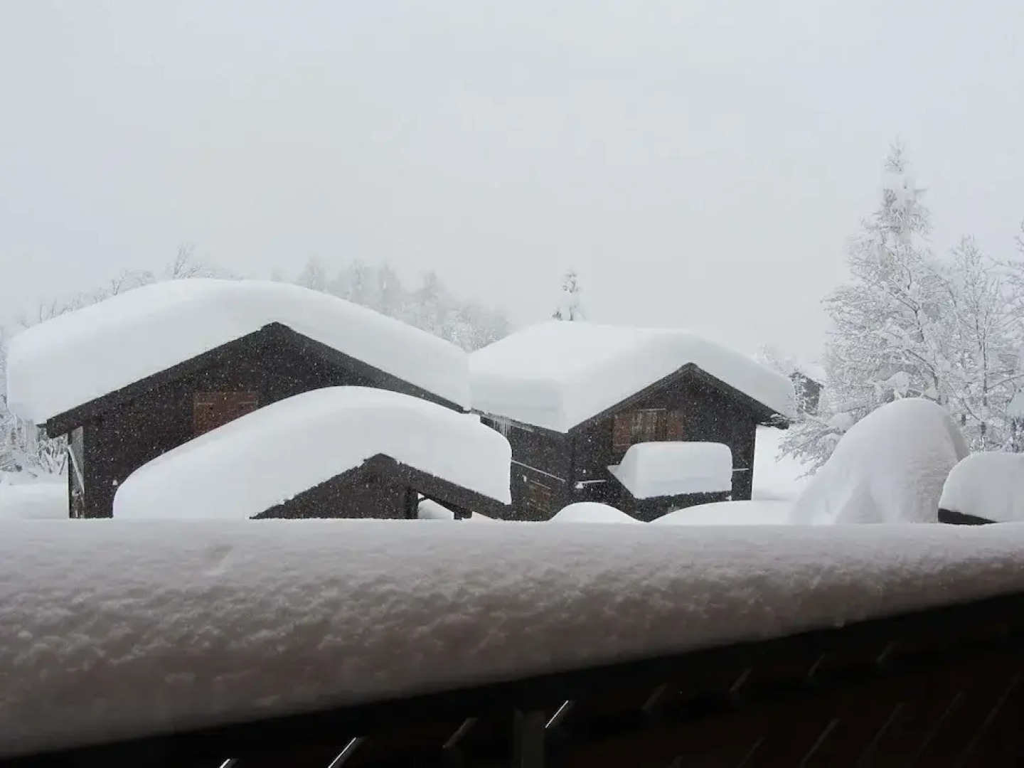 Family Stay in Aletsch Alps