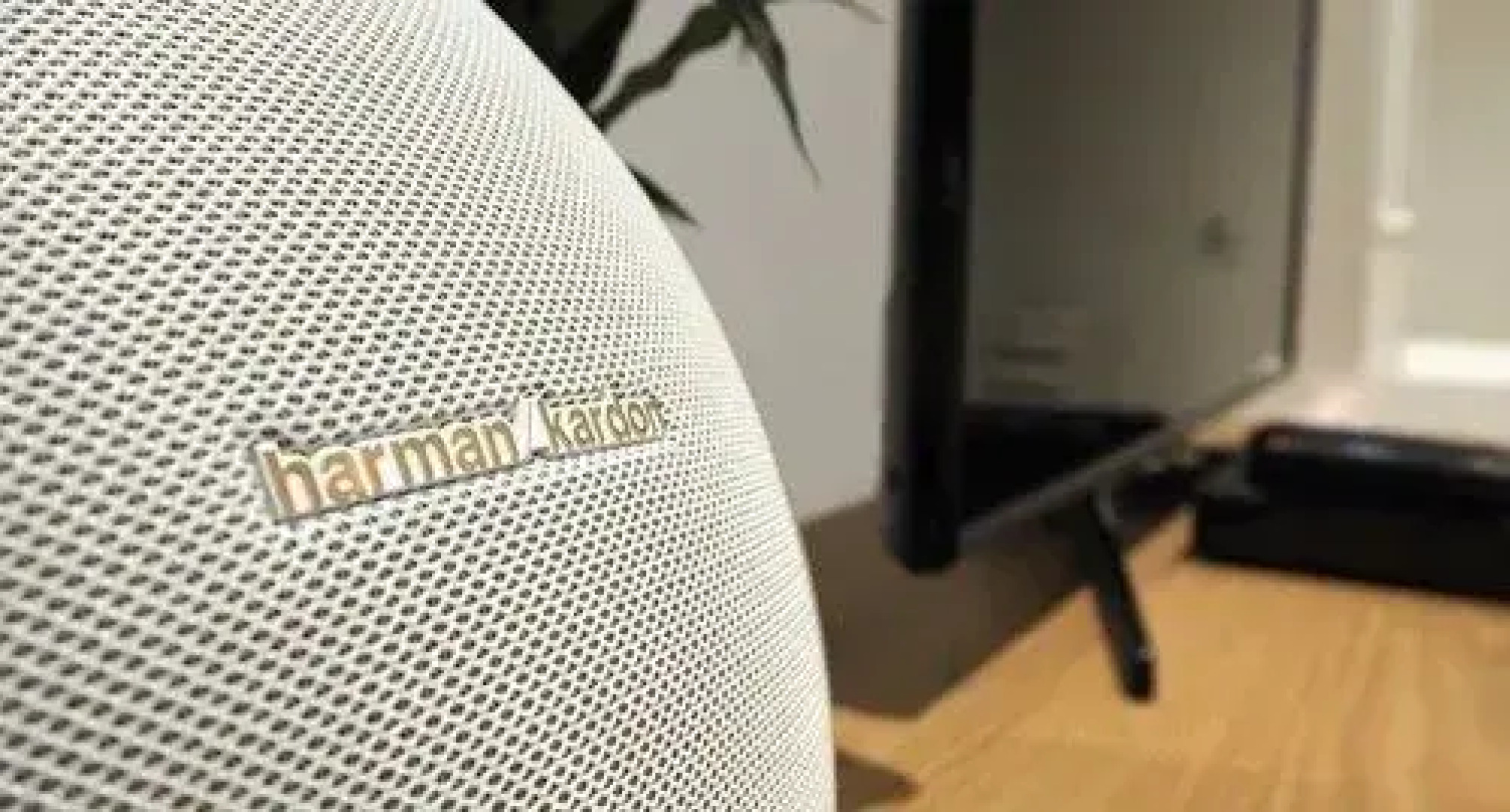 LittleStay Collection - Swanston