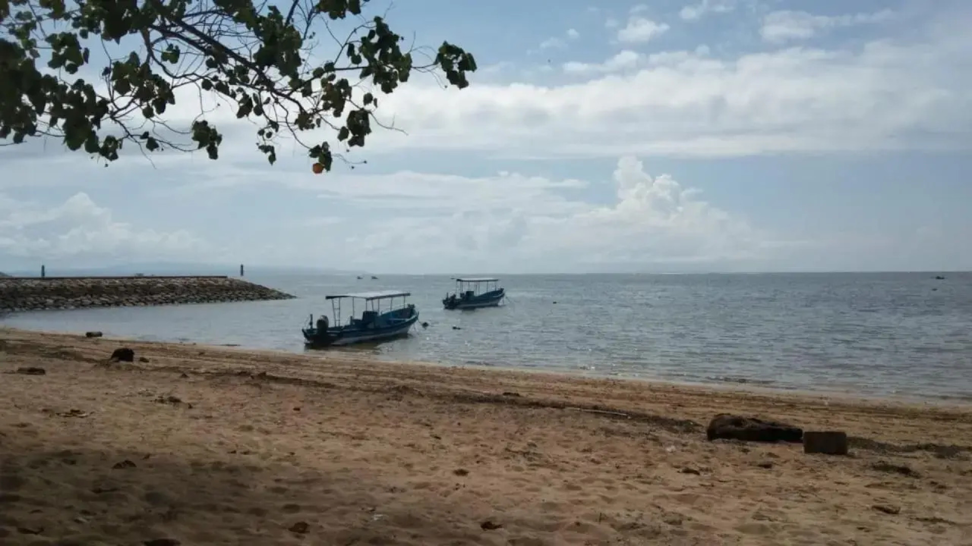 Shady Grove Healing Centre and Homestay