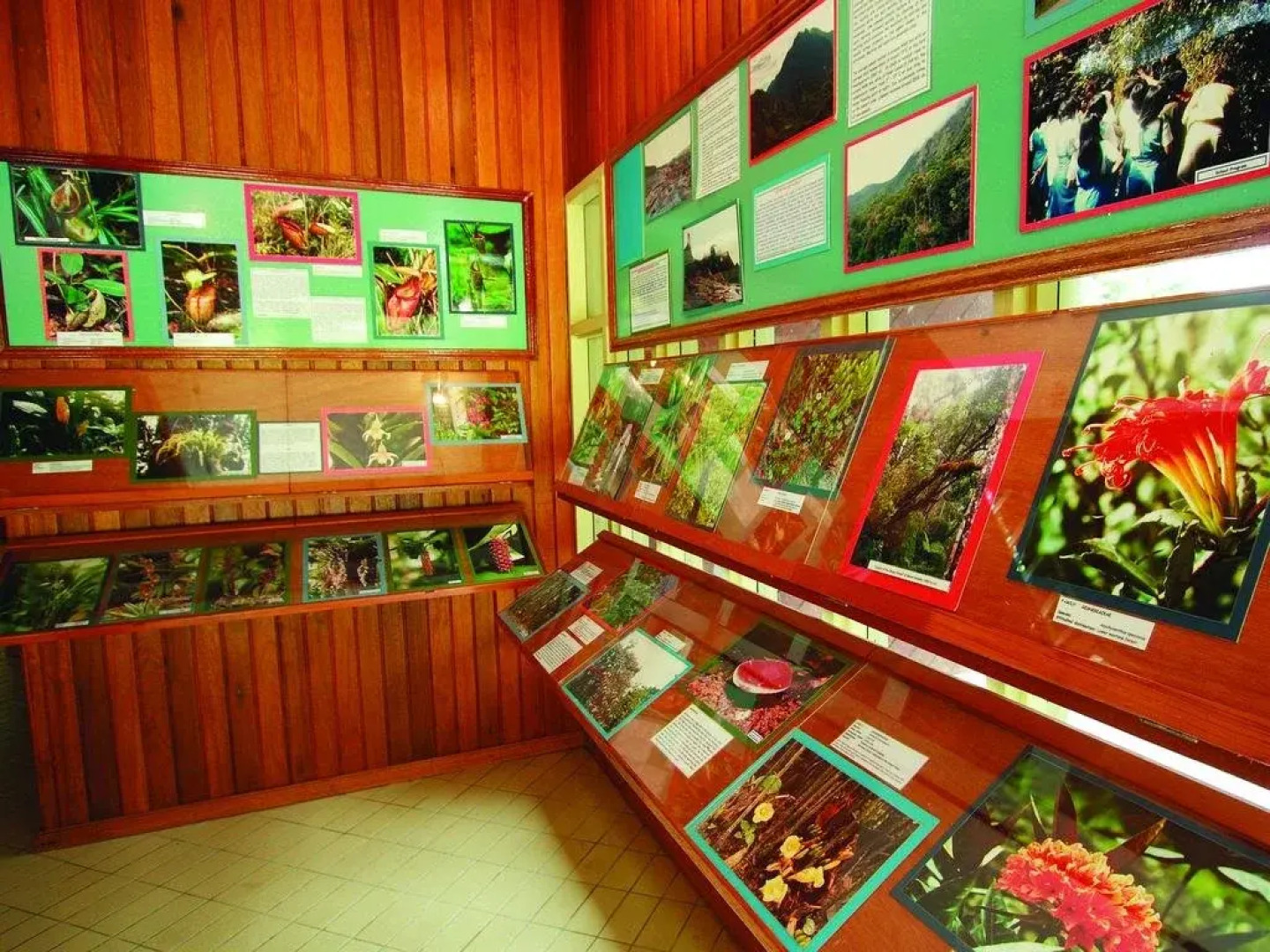 Mesilau Nature Resort