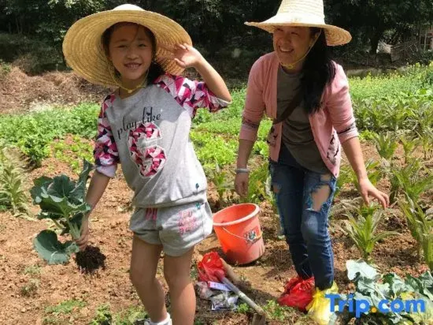 Snow Lion Riverside Resort