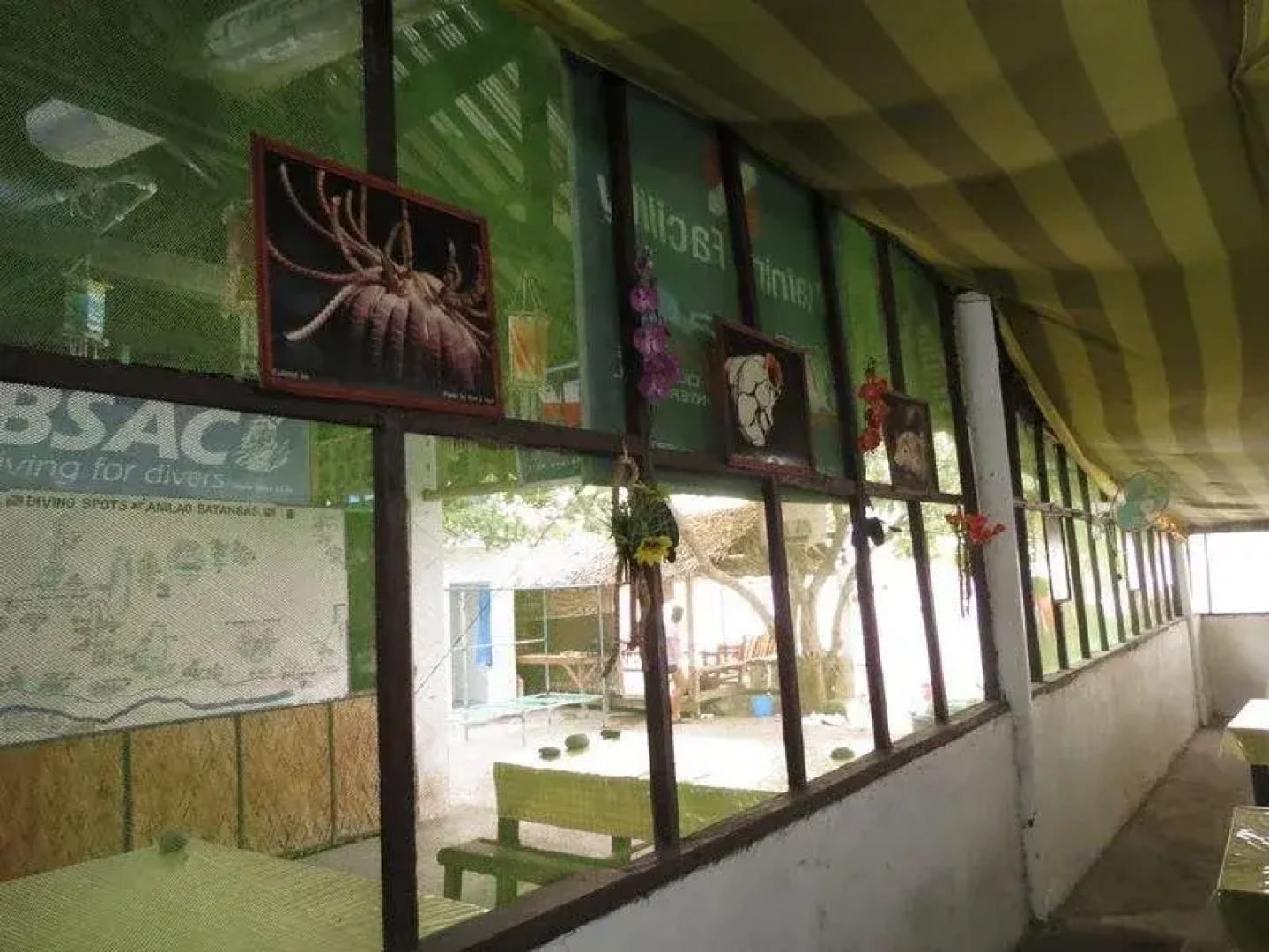 Anilao Scuba Dive Center Resort