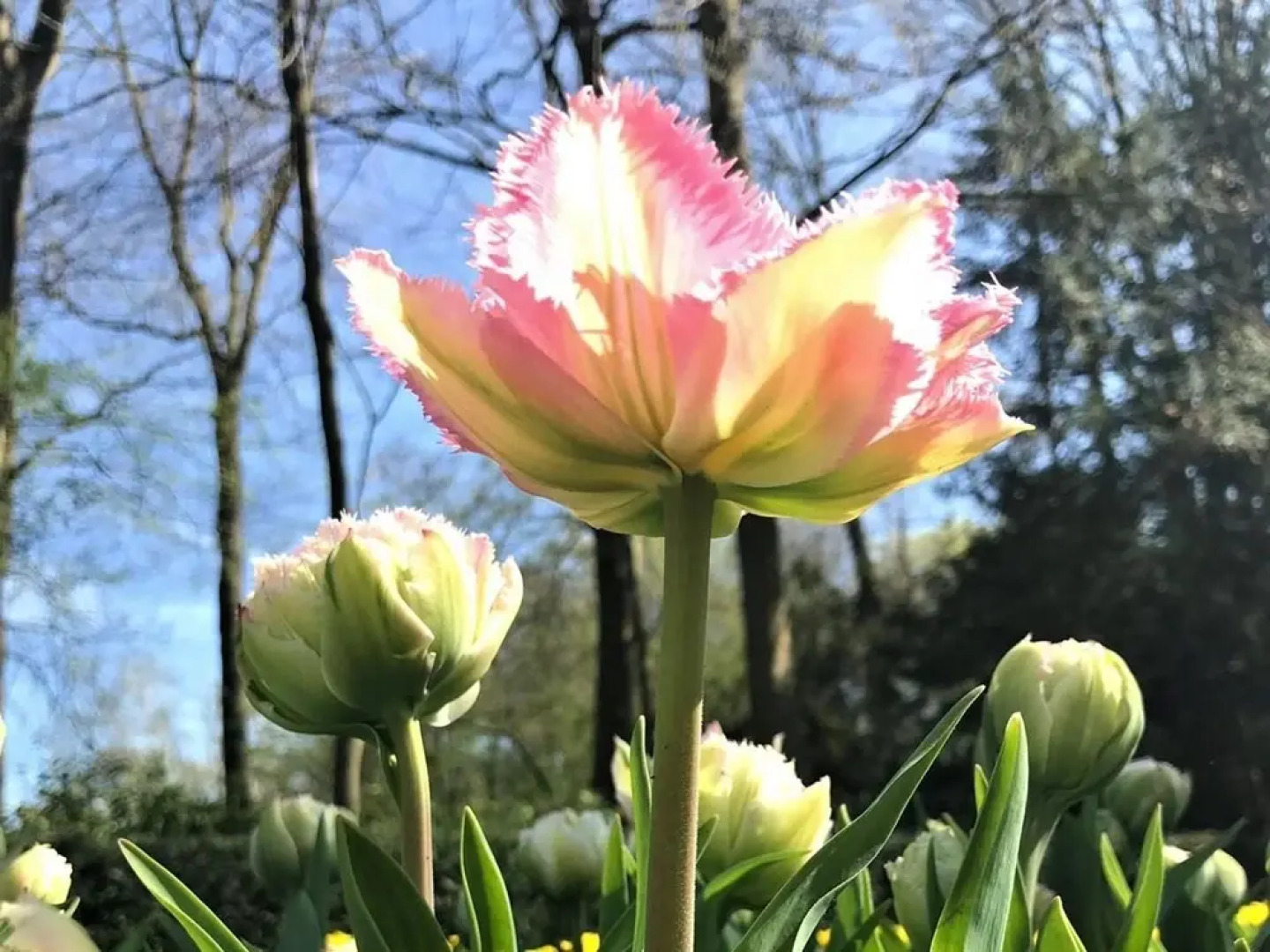 Stylish Bungalow With Gorgeous Location on Reeuwijk Lake