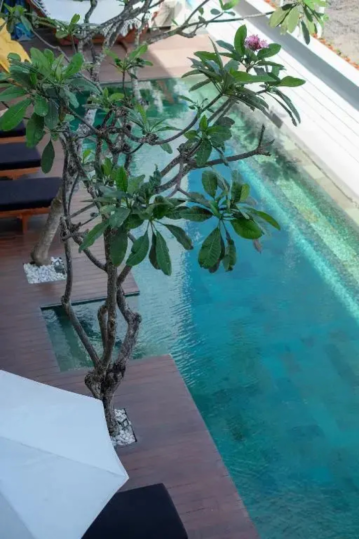 Dip & Doze Boutique Hostel