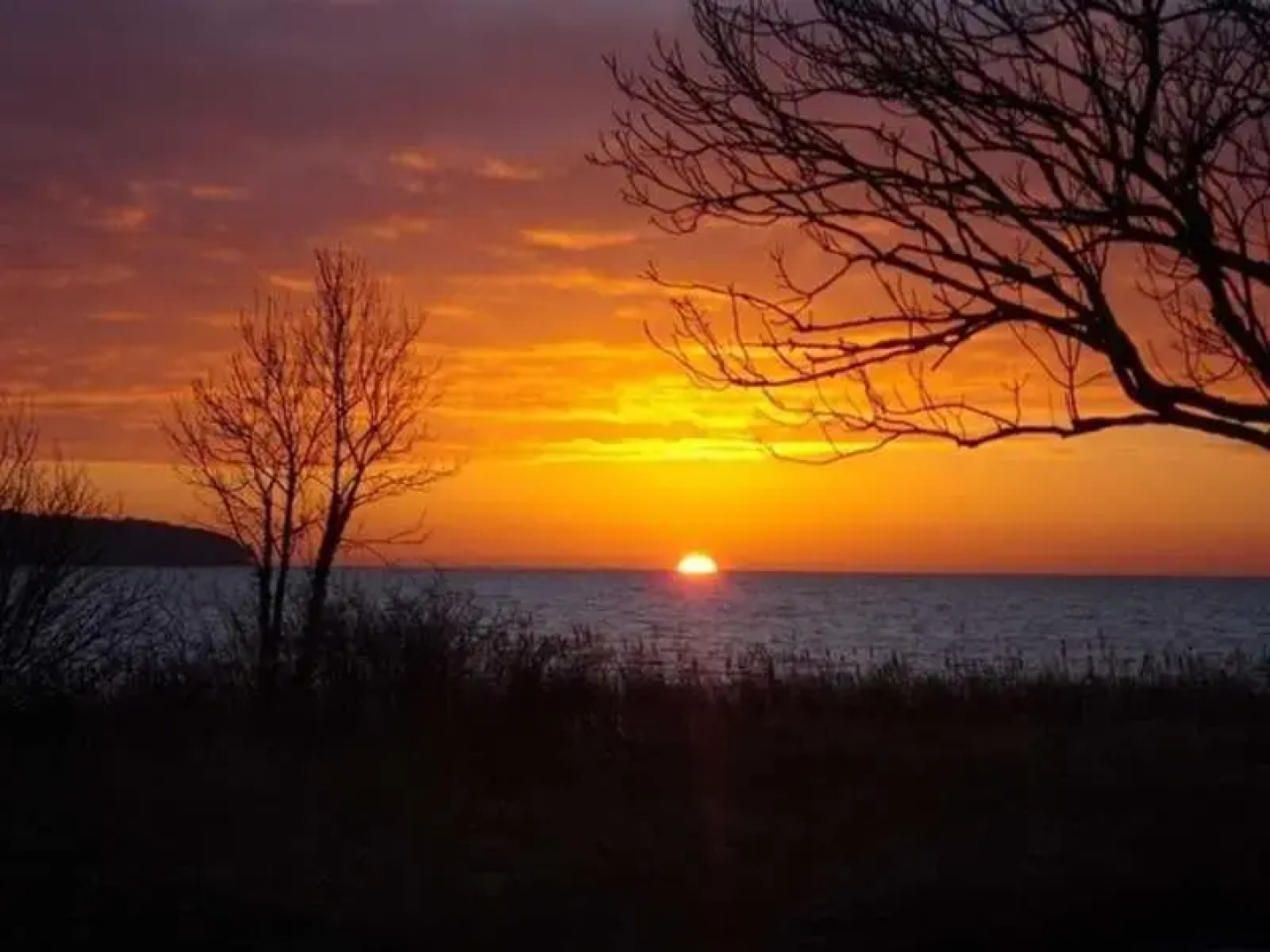 Schilfdachvilla Zeesboothaus WE308