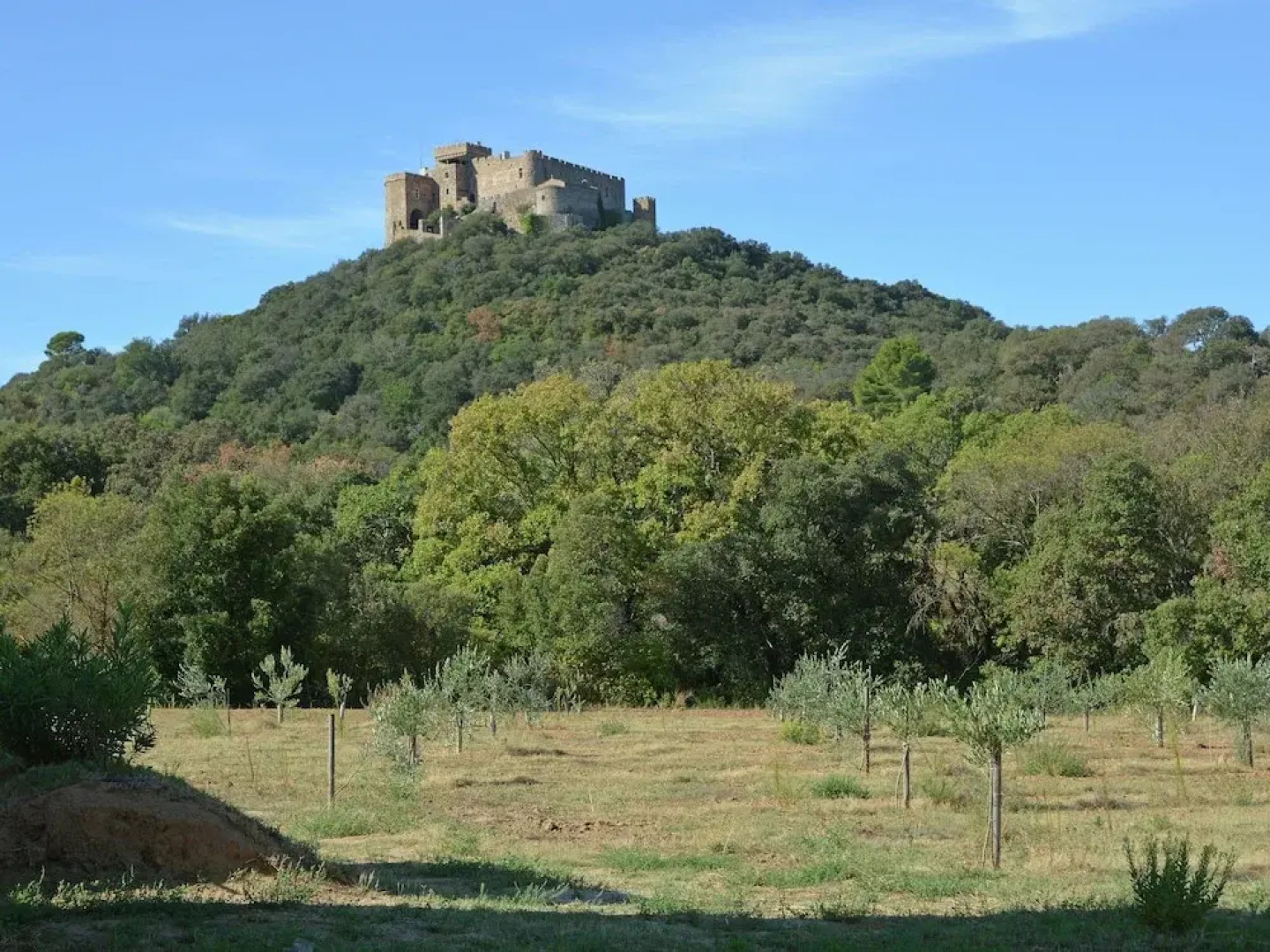 Perfect Detached House in the Vineyards at the Abbey of Fontfroide