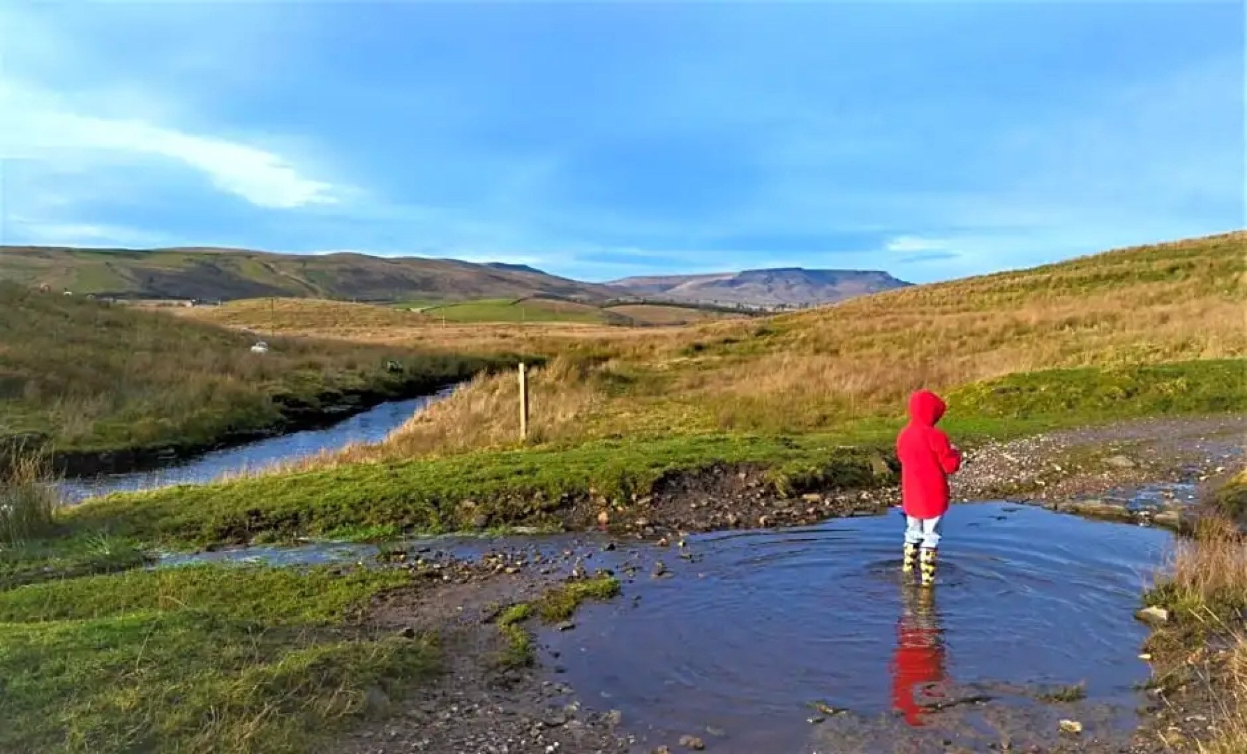 The Garsdale Bed & Breakfast - Goats and Oats at Garsdale
