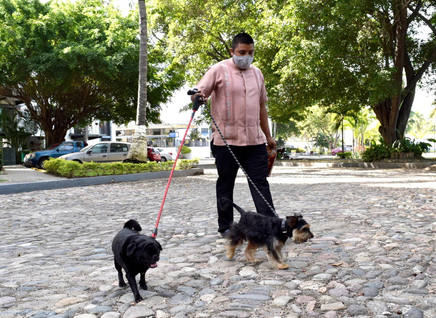 Puerto de Luna Pet Friendly & Family Suites Hotel