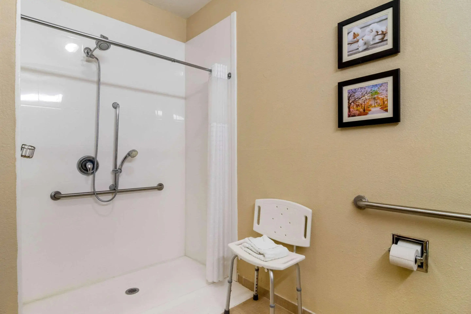 Comfort Inn & Suites Griffin North