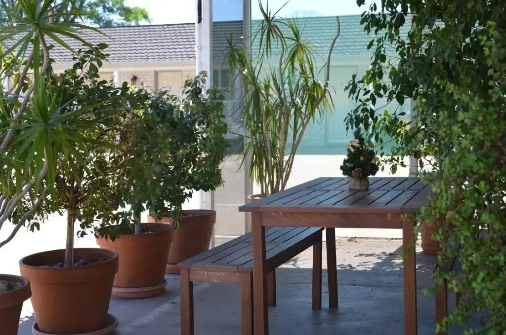 Alexander Motor Inn Moree