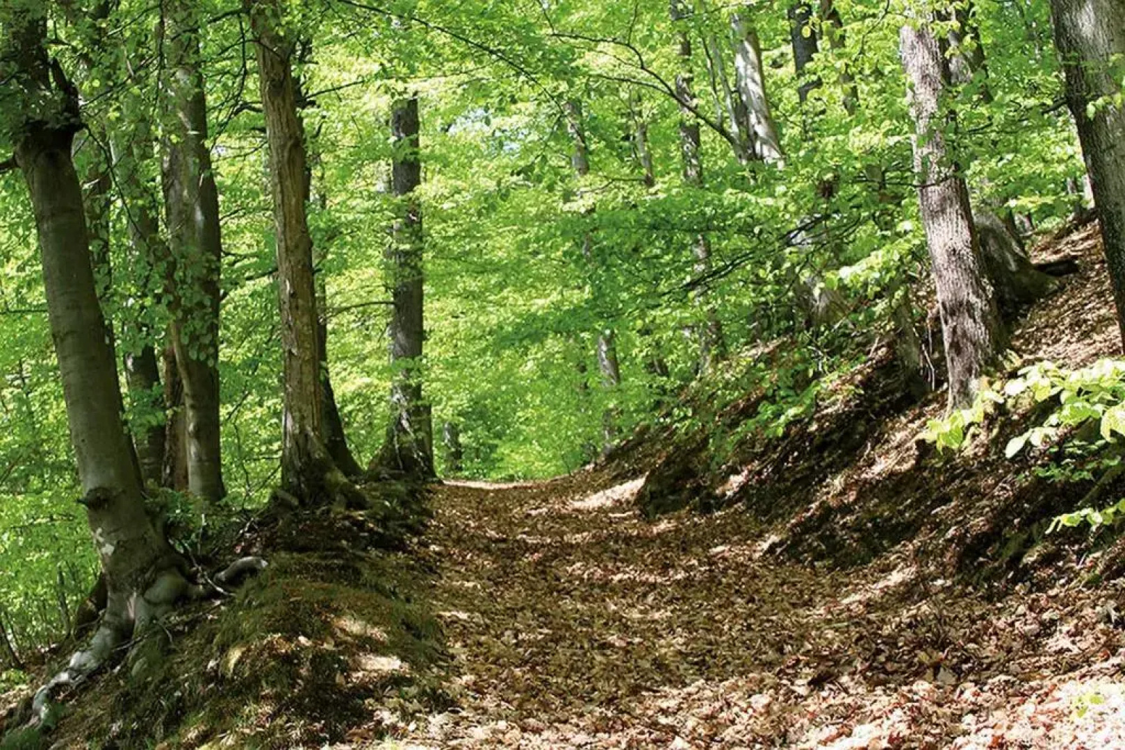 Landgasthof Hof Roscheid