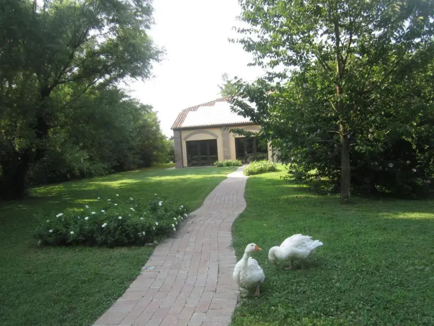 Agriturismo LUnicorno