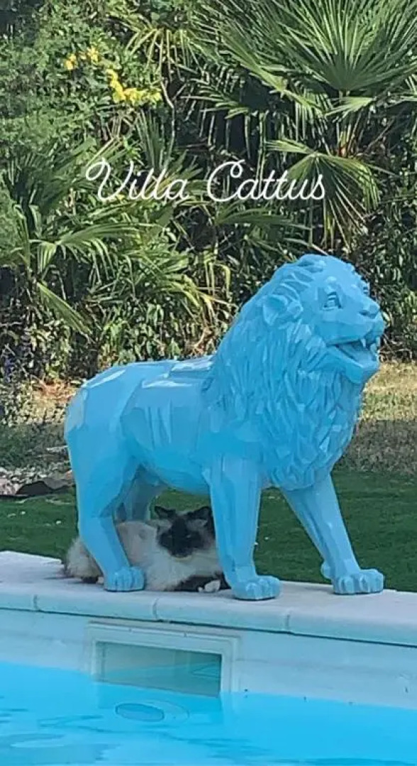 Suite à la Villa Cattus