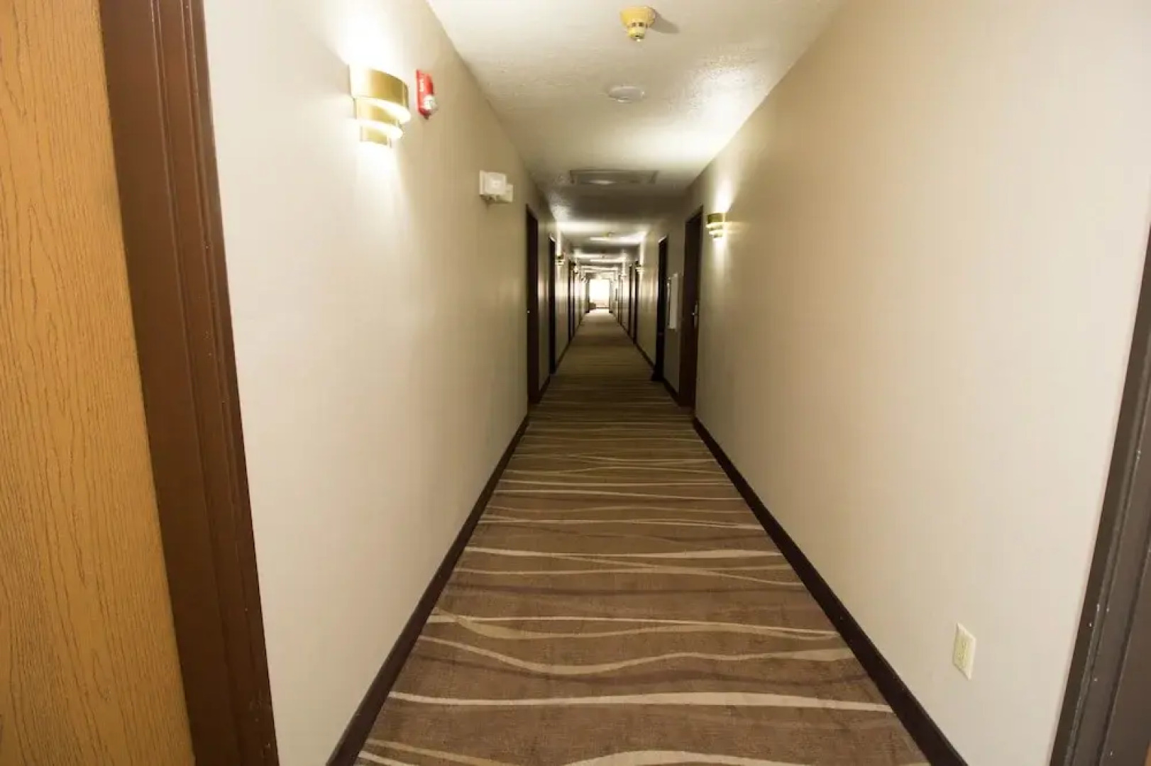 Super 8 Ohare Chicago Elk Grove Village