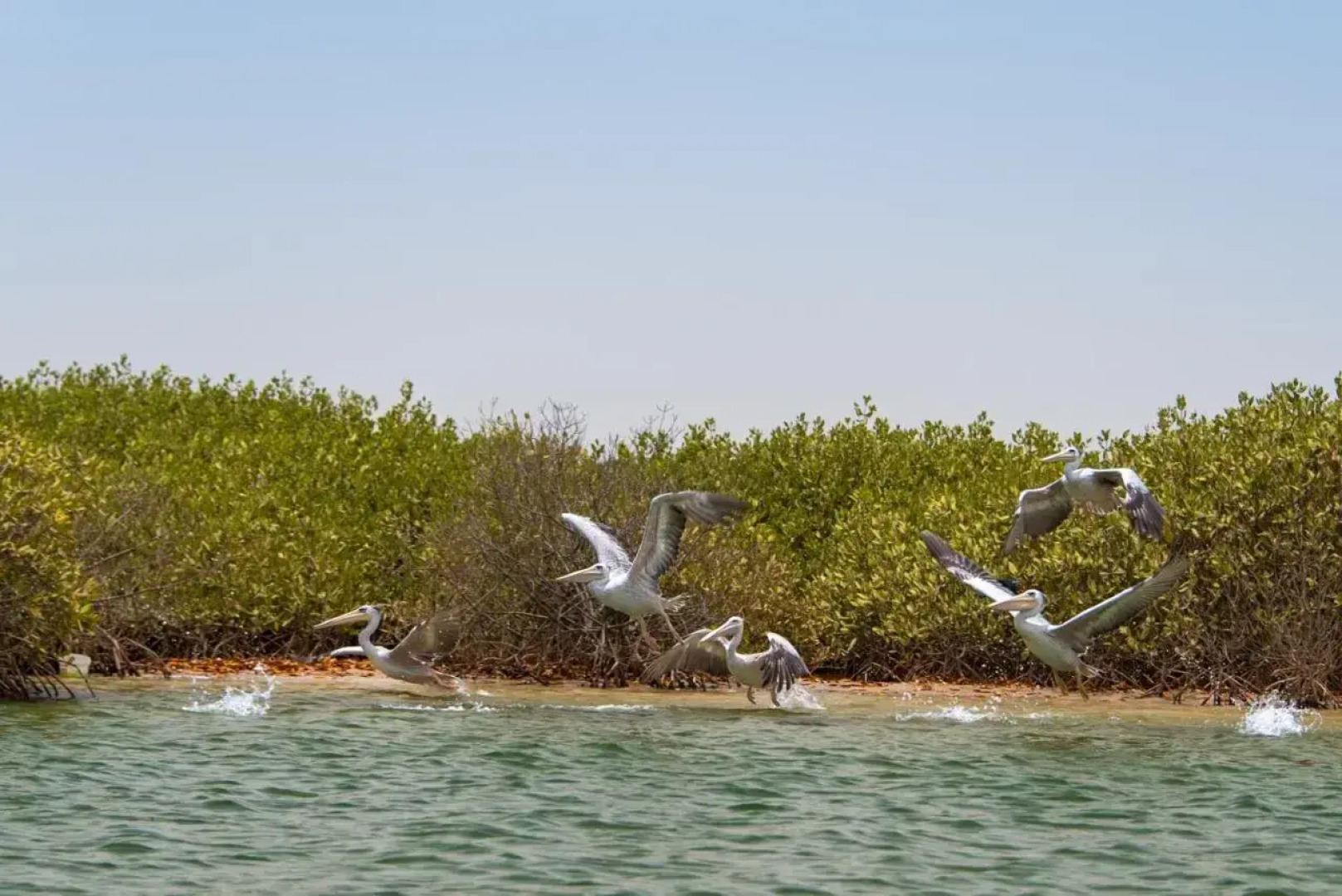 Le Saly Hotel & Club Les Filaos