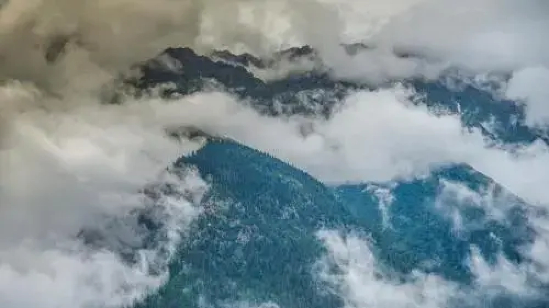 The Monk by Livingstone