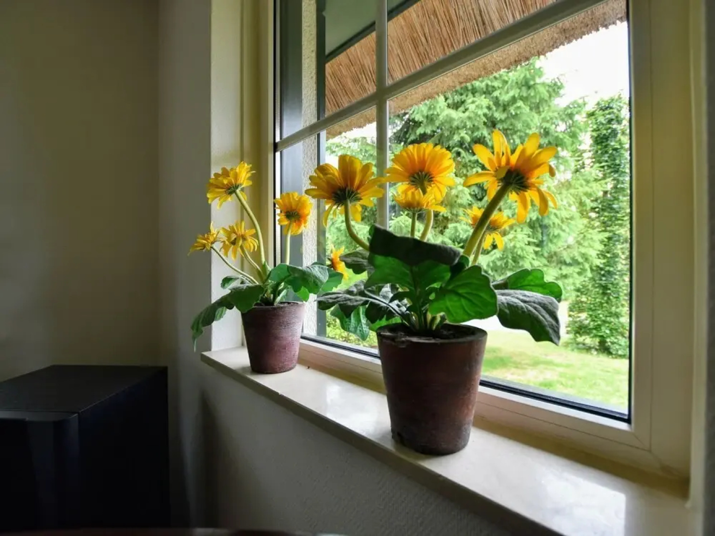 Tasteful Villa in Guelders with a Private Terrace