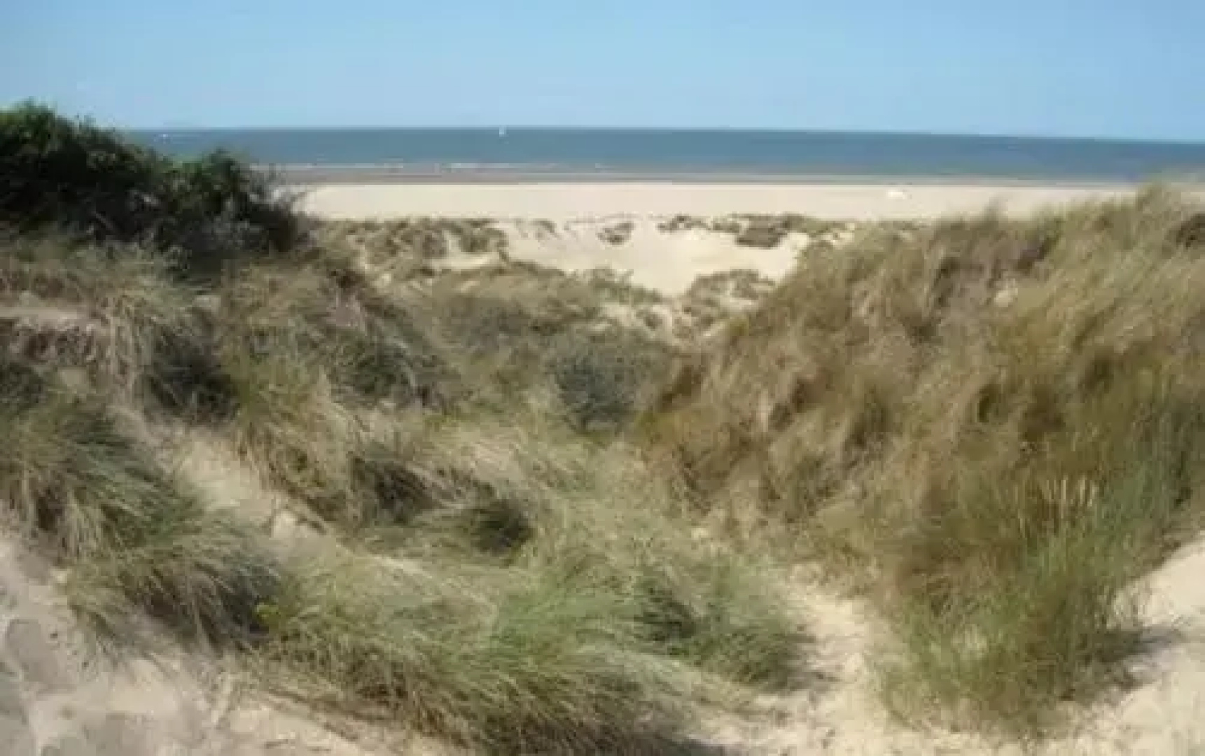 Het Duinhuisje