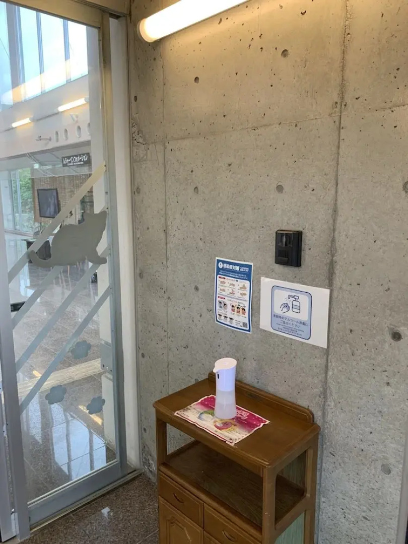 Iriomotejima Jungle Hotel Painumaya