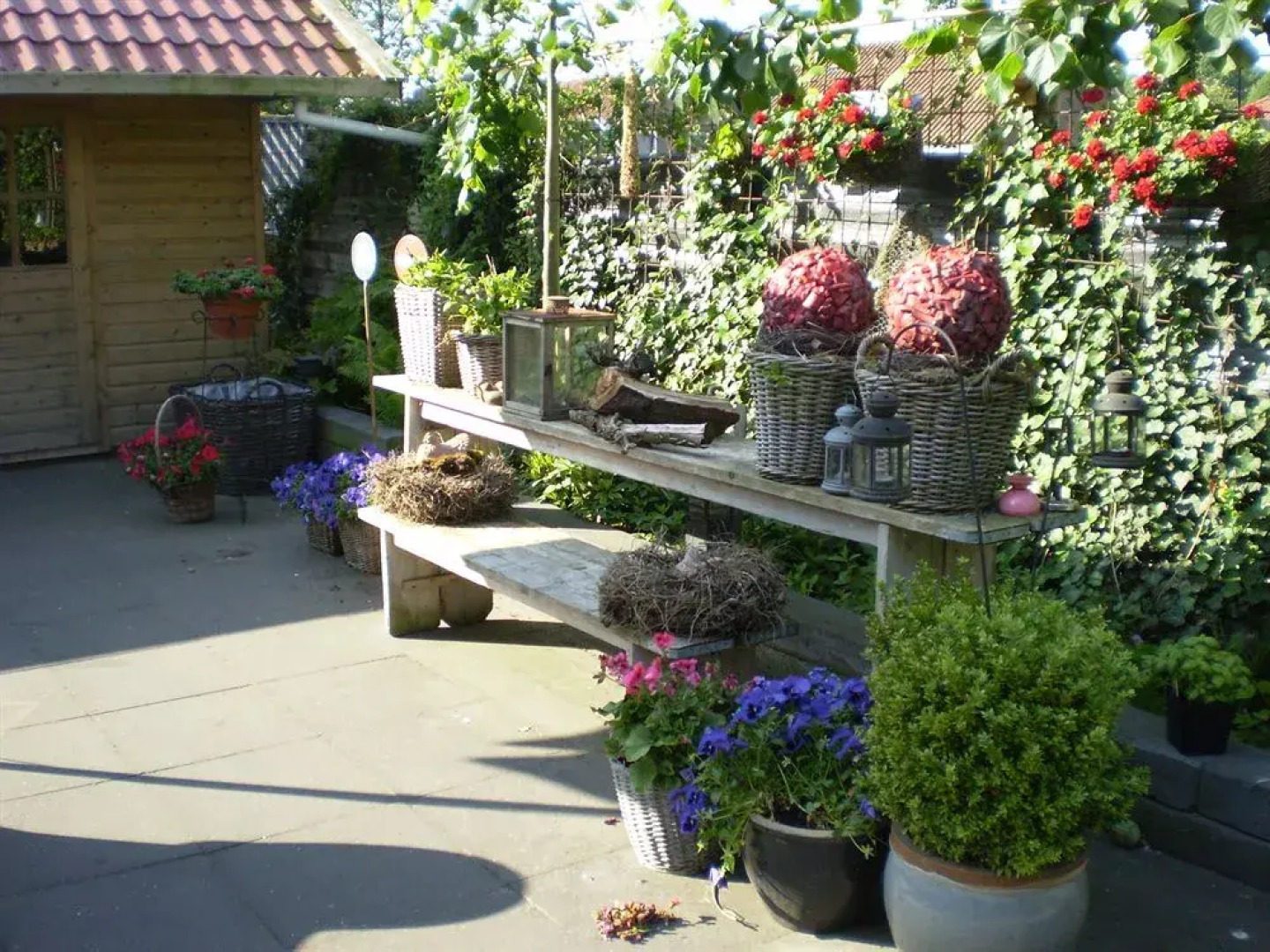 B&B - Pension Perruque