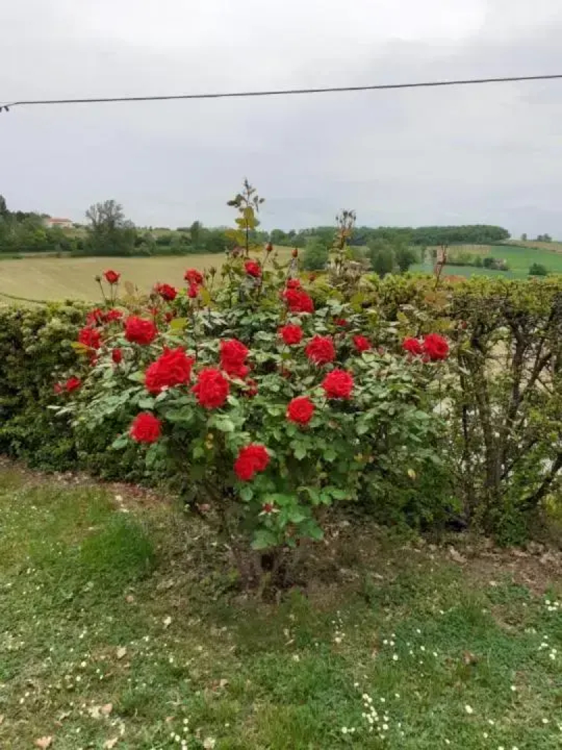 Gite de La Cheneraie