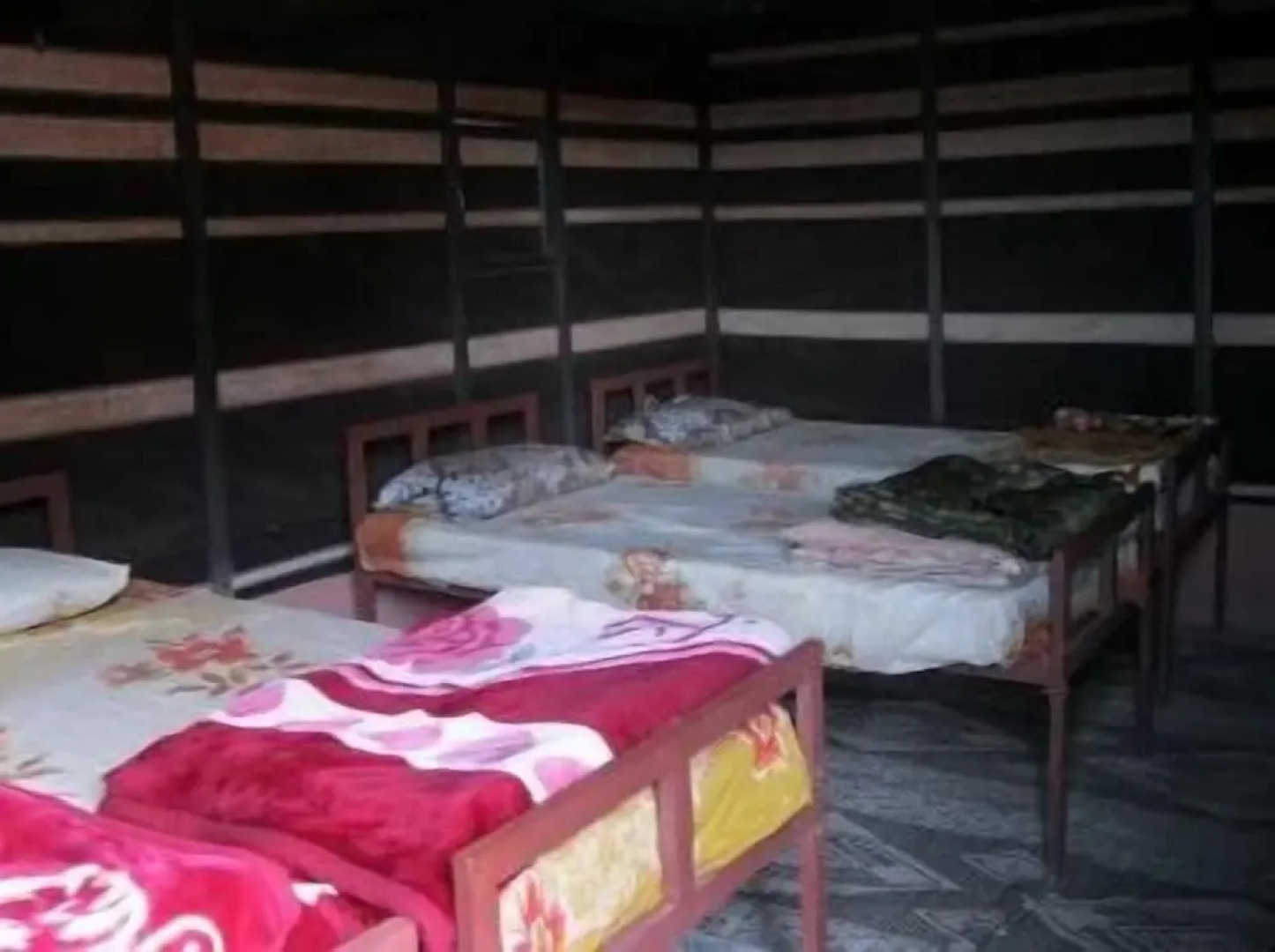 Bedouin Traditions Camp