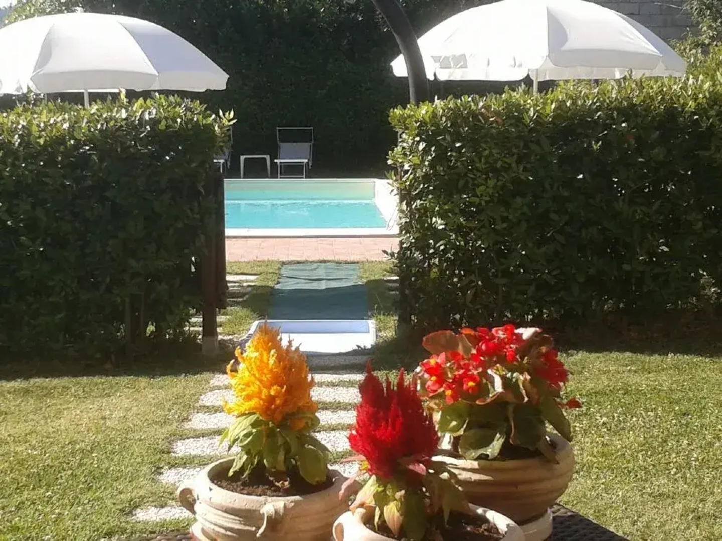 Agriturismo L'Olmo di Casigliano