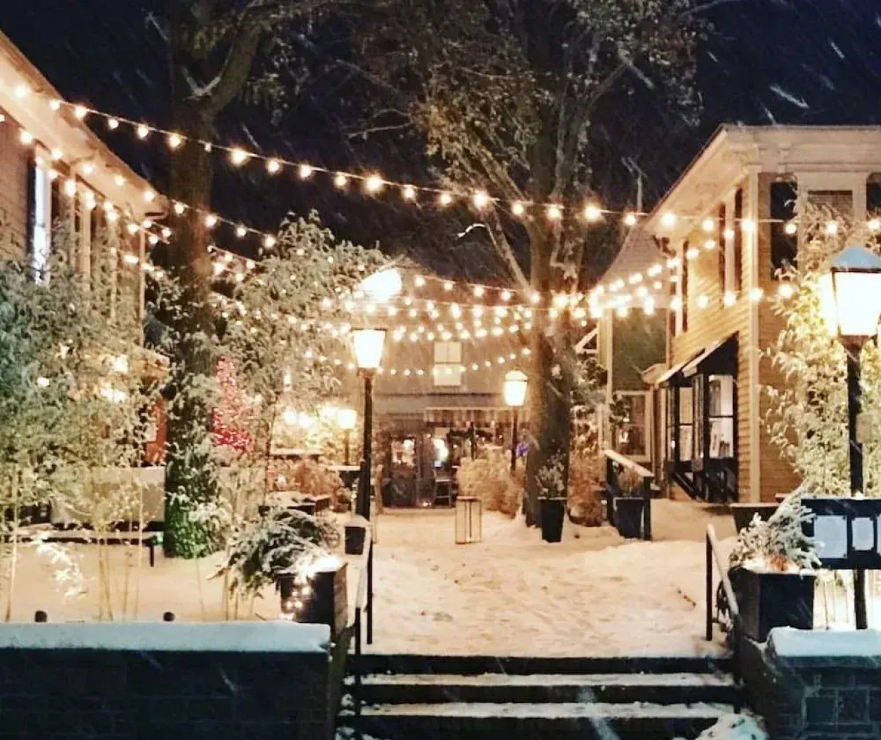 American Beech Hotel