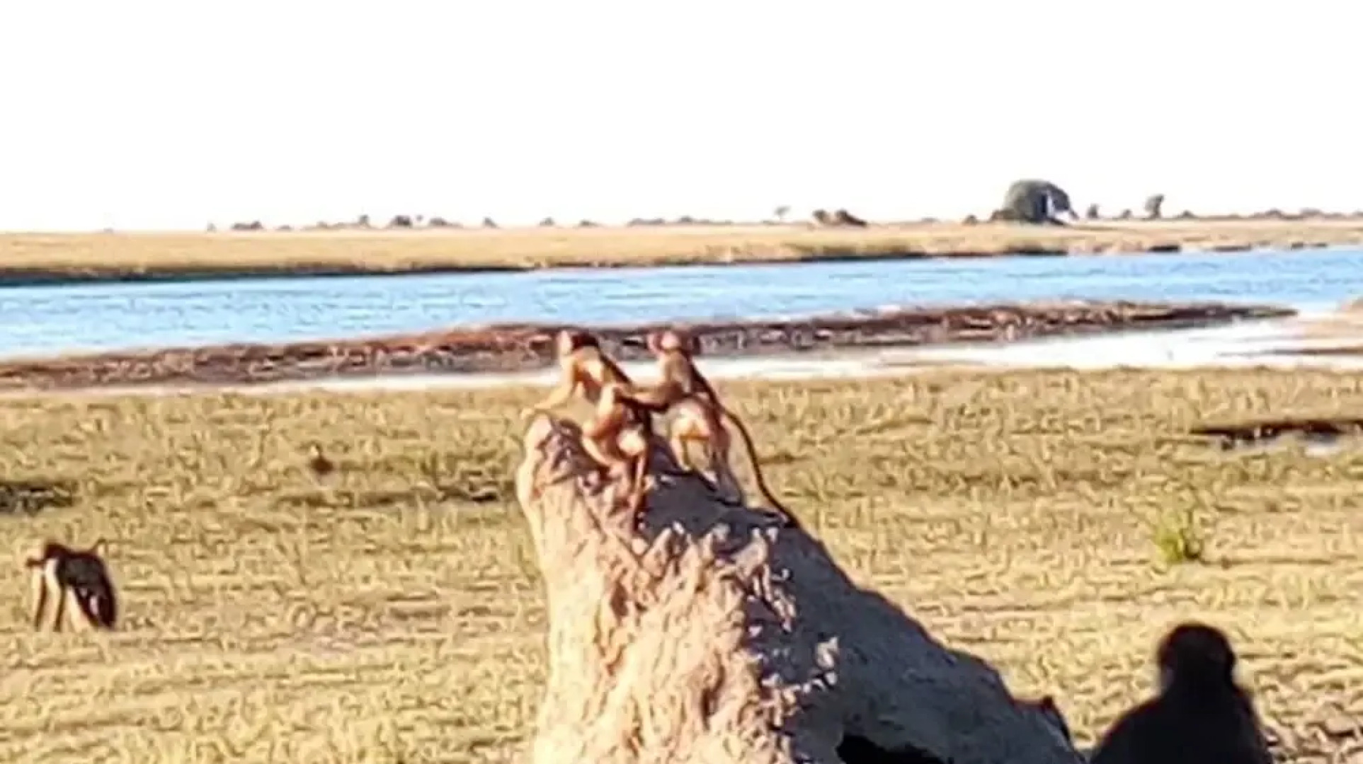 Amogelang Guest House