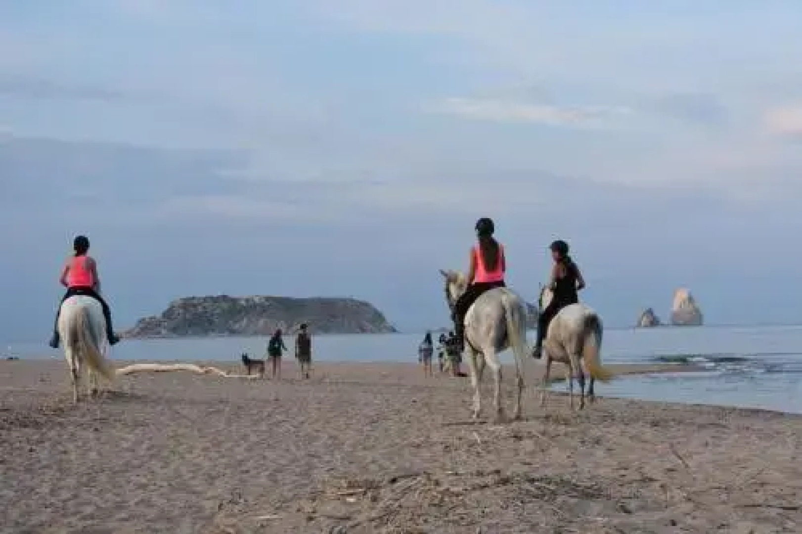 Casa Rural Hípica Mas Paguina