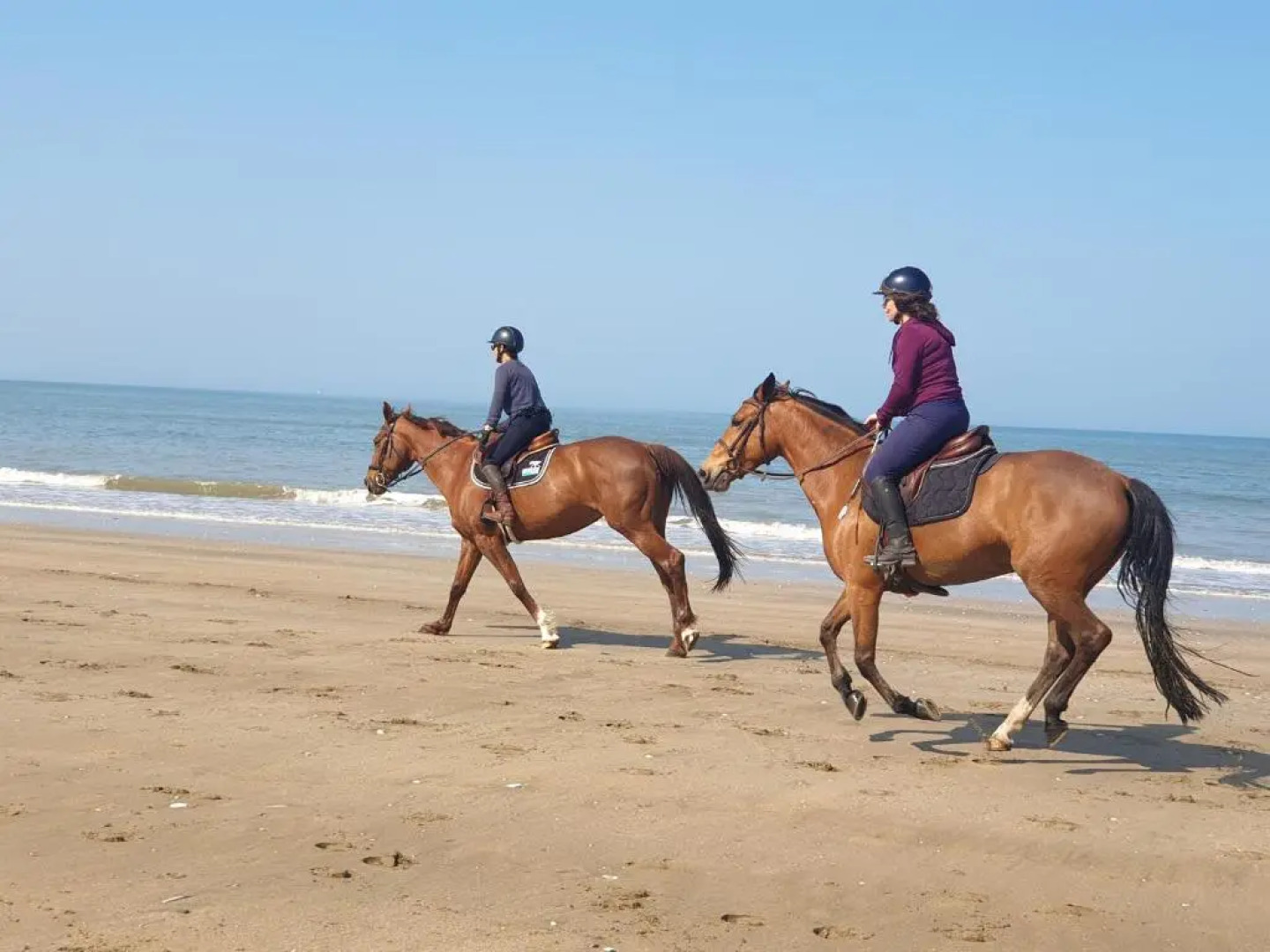 M2M Appartement 4 min à pied de la plage - hypercentre - Parking privé gratuit