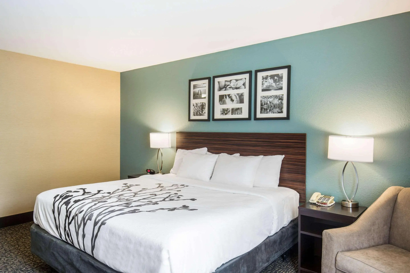 Sleep Inn & Suites Dunmore